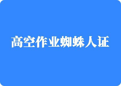 性插BB舔B高空作业蜘蛛人证